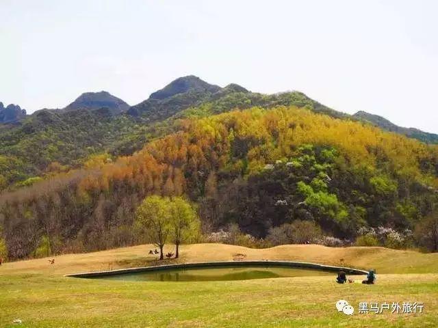 8分钟0得分!杜兰特罕见拉垮,太阳爆冷惨败魔术遭遇连败